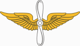 Aviation Branch 
